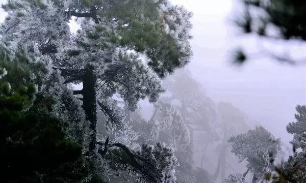 泰亚史诗