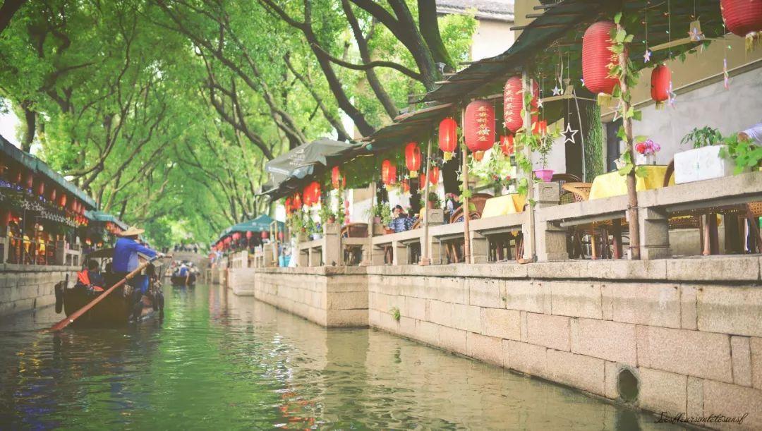 春雨直播app